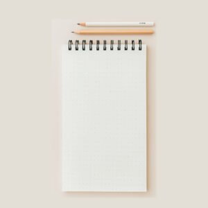 parte interna de la libreta de notas tamaño 21cm por 10 cm, con hojas punteadas